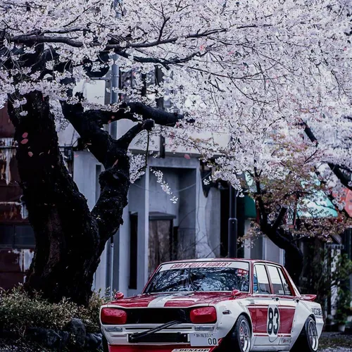 Jdm Обои на телефон автомобиль, припаркованный перед домом с деревьями и цветами