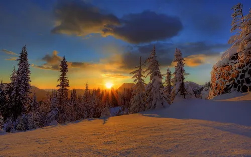 Зимний Лес Обои на телефон снежный пейзаж с деревьями и солнцем на заднем плане