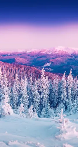Зимний Лес Обои на телефон снежный горный хребет
