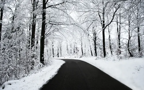 Зимний Лес Обои на телефон дорога со снегом на обочине