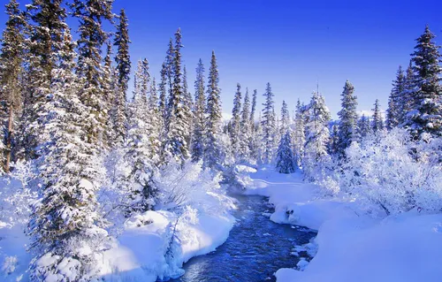 Зимний Лес Обои на телефон река со снегом и деревьями