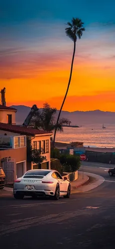 Калифорния Обои на телефон автомобиль, припаркованный перед пальмой и водоемом