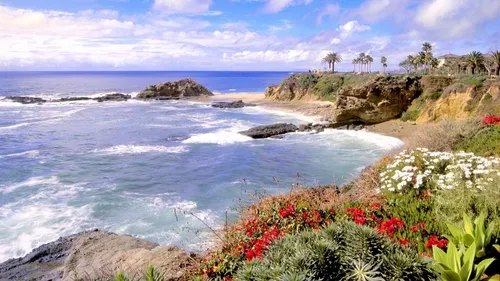 Калифорния Обои на телефон скалистый пляж с цветами и деревьями на фоне водопада Маквей