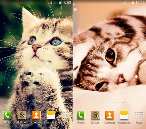 Котята Анимация Обои на телефон скриншот кота