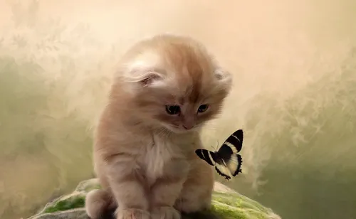 Котята Анимация Обои на телефон котенок держит маленькую птичку