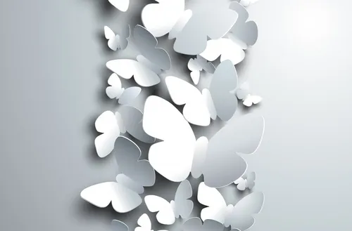 Красивые Белые Обои на телефон белый цветок на черном фоне