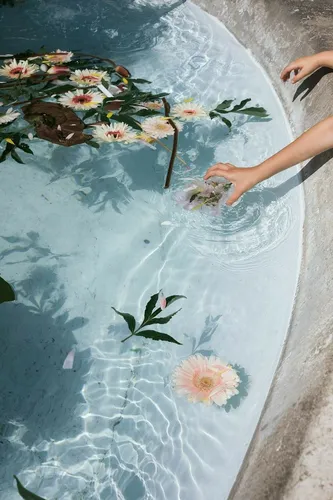 Красивые Картинки Обои Обои на телефон человек, держащий цветок в бассейне