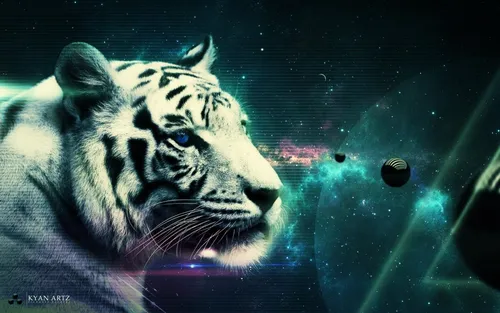 Живые Животные Обои на телефон белый тигр в черном пространстве