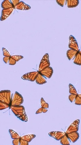 Бабочки Обои на телефон бесплатные картинки