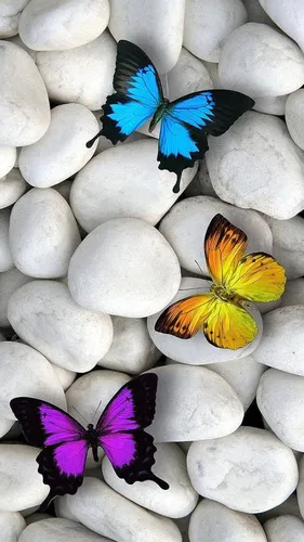 Бабочки Обои на телефон пара бабочек на скалах
