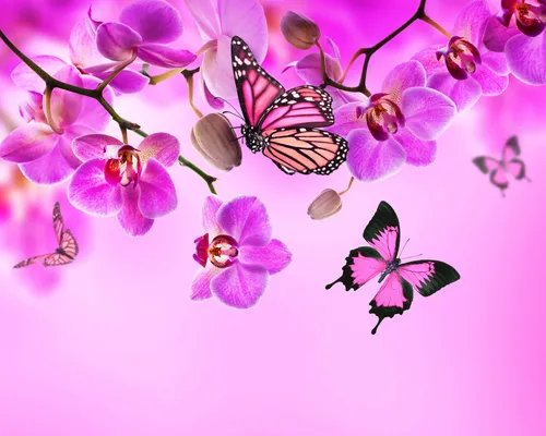 Бабочки Обои на телефон группа цветов