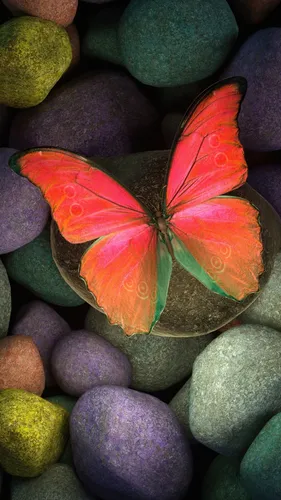 Бабочки Обои на телефон красочный цветок на скалах