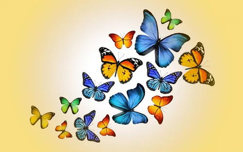 Бабочки Обои на телефон 2022