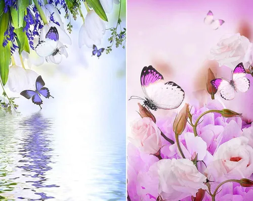 Бабочки Обои на телефон коллаж из цветов