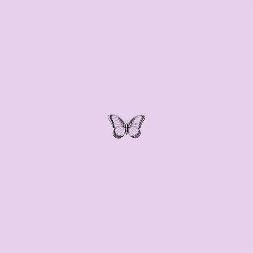 Бабочки Обои на телефон логотип на белом фоне