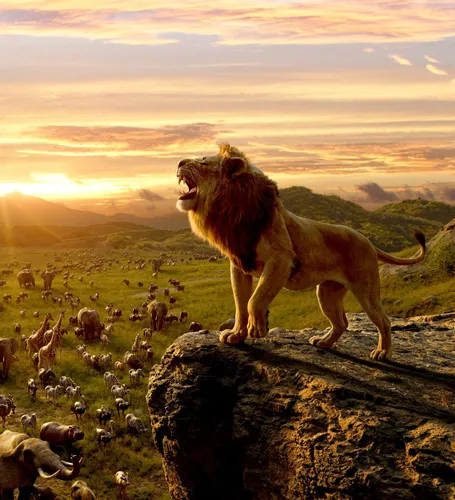Лев Обои на телефон лев, стоящий на скале с группой животных вокруг него