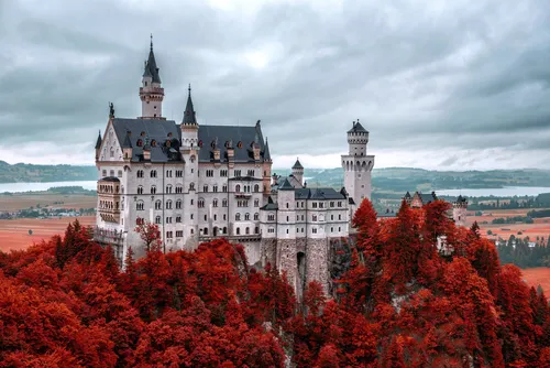 Замок Обои на телефон большой замок, окруженный красными деревьями, на заднем плане замок Нойшванштайн