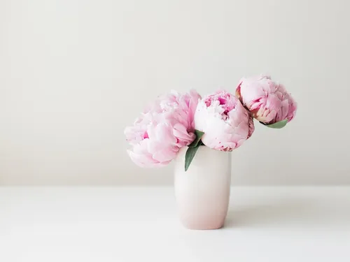 Минимализм Цветы Обои на телефон ваза с розовыми цветами
