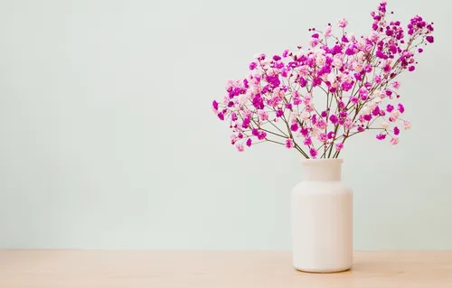 Минимализм Цветы Обои на телефон ваза с фиолетовыми цветами