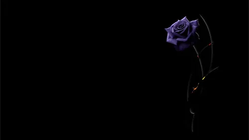 На Рабочий Стол Обои на телефон фиолетовая роза в стеклянной вазе