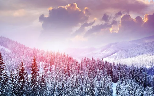 Рассвет Обои на телефон снежный лес с большим облаком дыма в небе
