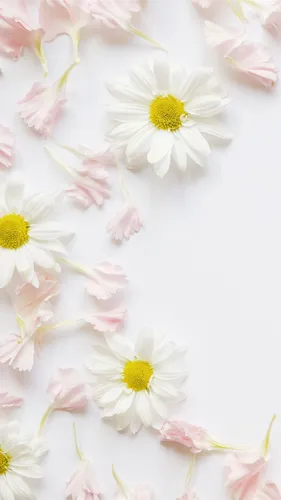 Растения Обои на телефон группа белых и розовых цветов
