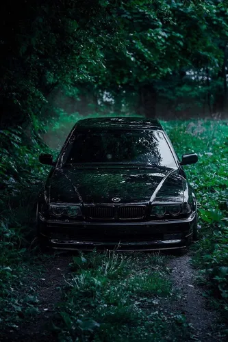 Бмв Обои на телефон автомобиль, припаркованный в лесистой местности