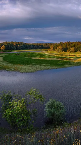 Россия Обои на телефон река с травой и деревьями вокруг нее