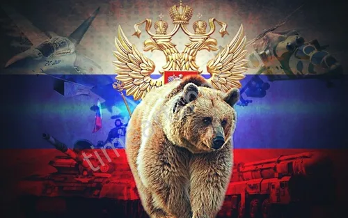 Россия Обои на телефон медведь перед картиной