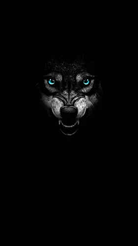 С Волком Обои на телефон черно-белое изображение льва с голубыми глазами