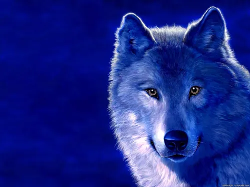 С Волком Обои на телефон волк на синем фоне