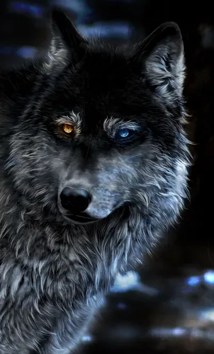 С Волком Обои на телефон волк с голубыми глазами