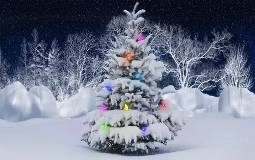 Зима Новый Год Обои на телефон заснеженное дерево в заснеженном месте