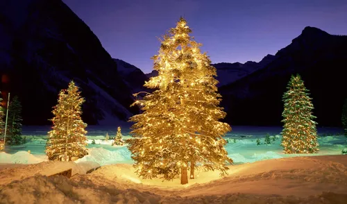 Зима Новый Год Обои на телефон группа деревьев в заснеженном месте
