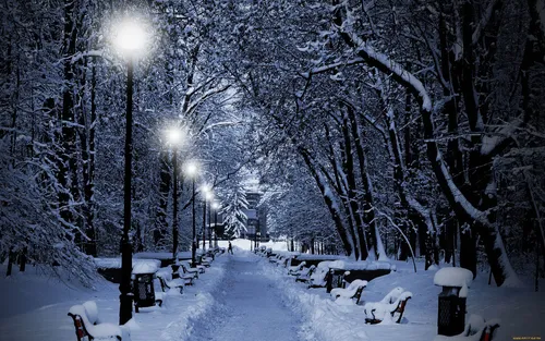 Зима Новый Год Обои на телефон заснеженная улица с деревьями и уличными фонарями