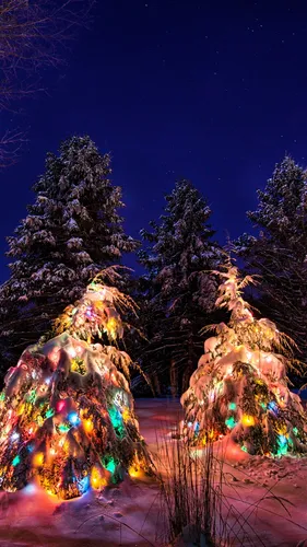 Зима Новый Год Обои на телефон группа деревьев с огнями