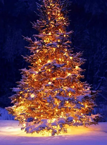 Зима Новый Год Обои на телефон дерево с огнями на нем
