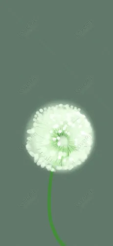 Одуванчик Обои на телефон белый цветок на зеленом стебле