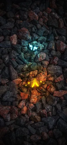 Светящиеся Обои на телефон желтый цветок на куче камней