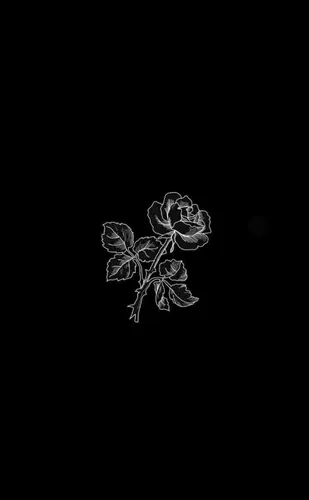 Черные С Рисунком Обои на телефон логотип с цветком