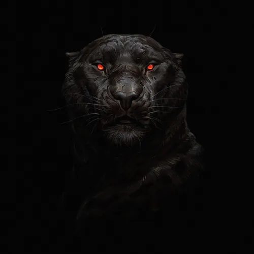 Черные С Рисунком Обои на телефон черная собака с красными глазами