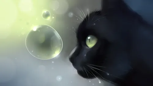 Черный Кот Обои на телефон кошка смотрит на круглый предмет