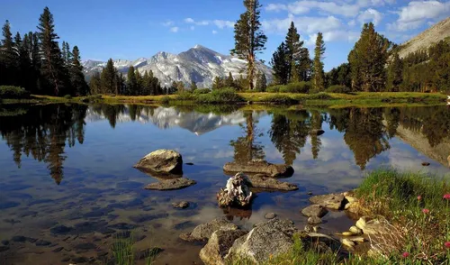 3Д Природа Обои на телефон озеро со скалами и деревьями