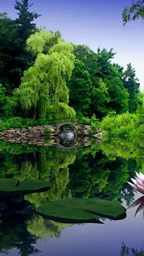 3Д Природа Обои на телефон пруд с фонтаном и деревьями вокруг него
