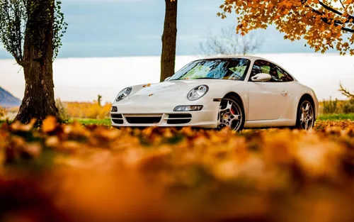 Porsche 911 Обои на телефон белый автомобиль, припаркованный на дороге