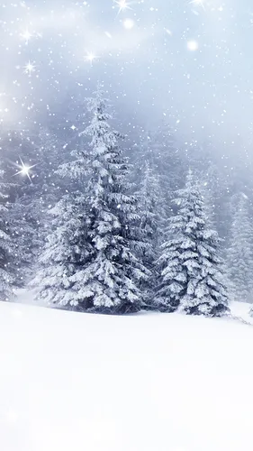 Зима Природа Обои на телефон заснеженный лес с деревьями