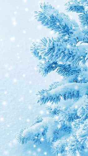 Зима Природа Обои на телефон дерево, покрытое снегом