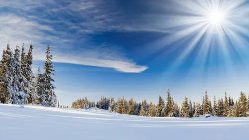 Зима Природа Обои на телефон снежное поле с деревьями и солнцем в небе