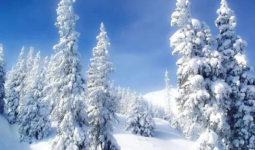 Зима Природа Обои на телефон картинка
