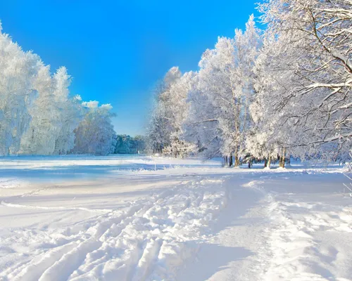 Зима Природа Обои на телефон  скачать фото